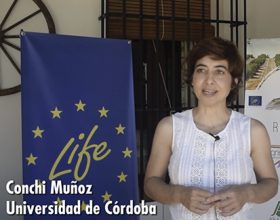Presentación Universidad de Córdoba (UCO) en el Kick of meeting de Life Resilience